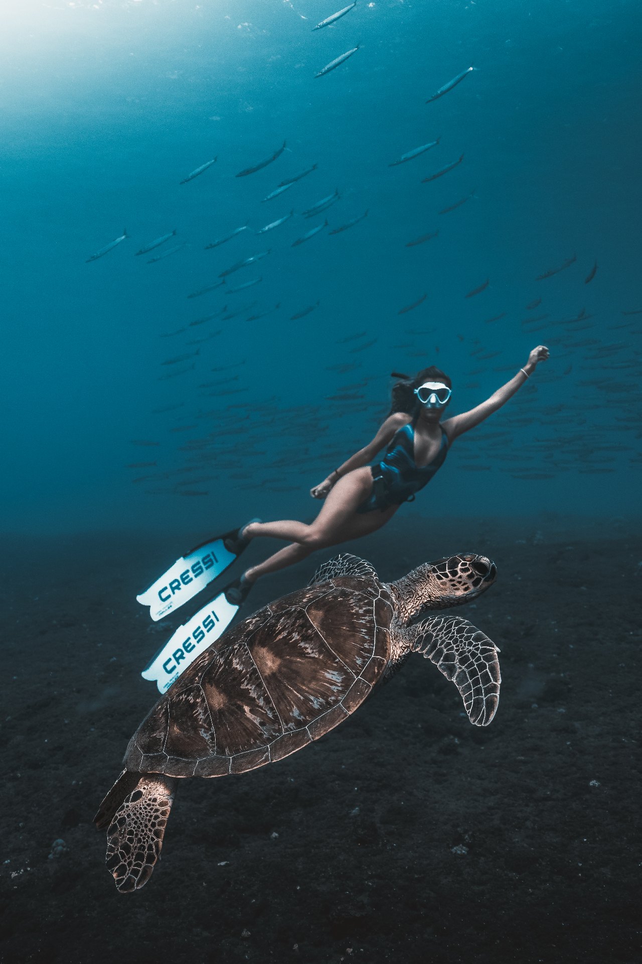Nage avec une tortue